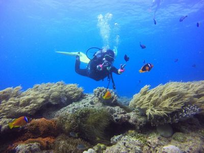 沖縄ダイビングツアーならj Dive ジェイダイブ 沖縄本島 離島格安プランが充実