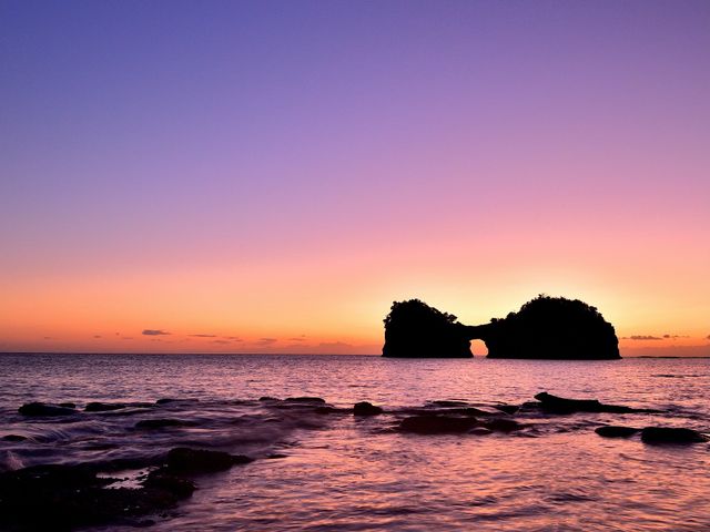 7月の見どころは･･･イメージ