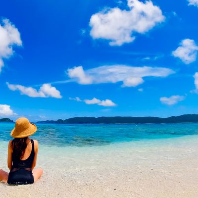 沖縄本島フリープランイメージ