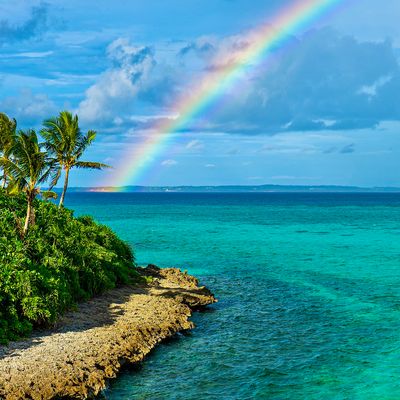 宮古島フリープランイメージ