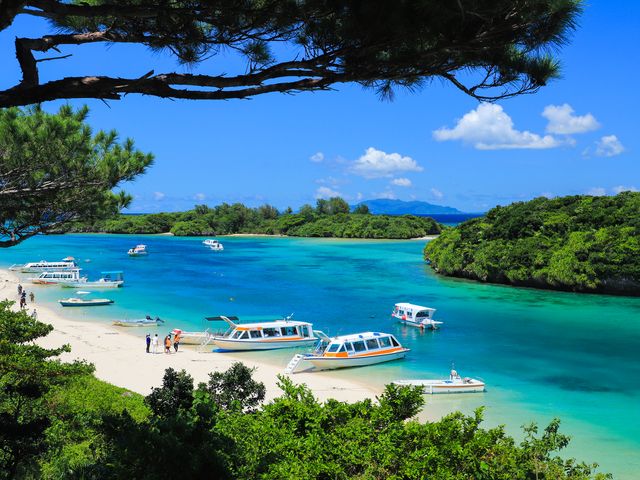 あの川平湾のすぐそばのショップイメージ