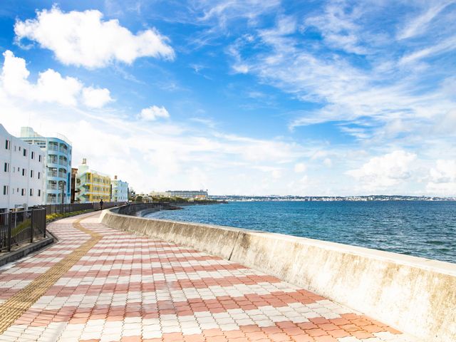 宮城海岸|本島イメージ