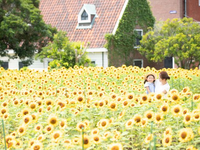 夏限定がいっぱいイメージ