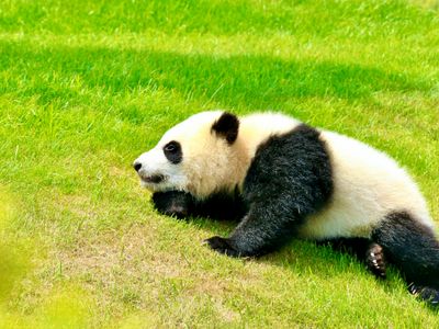 南紀白浜アドベンチャーワールド