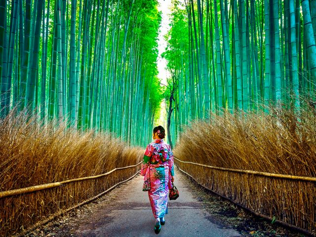 五感で涼を感じられる夏の京都イメージ