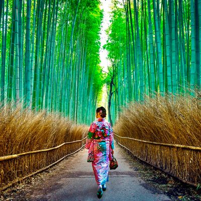 とにかく安くいきたい！3月 関西ツアーイメージ