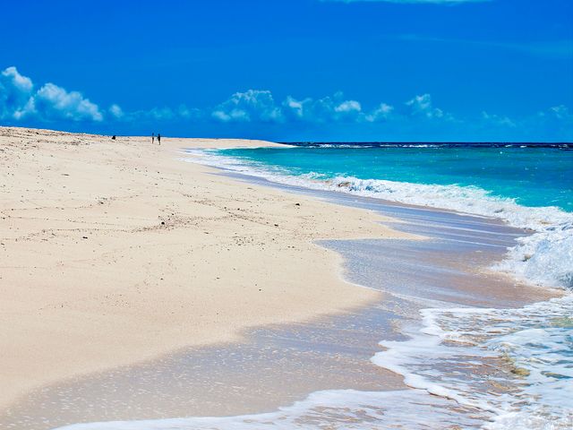 奥のはての浜日帰り海水浴ツアーイメージ