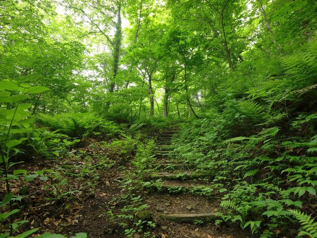 白神山地<br />
青森県・秋田県イメージ