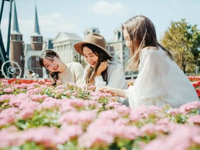 ハウステンボス旅行 ツアー Jalで行く格安旅行のj Trip ハウステンボス旅行 ツアー Jalで行く格安旅行のj Trip
