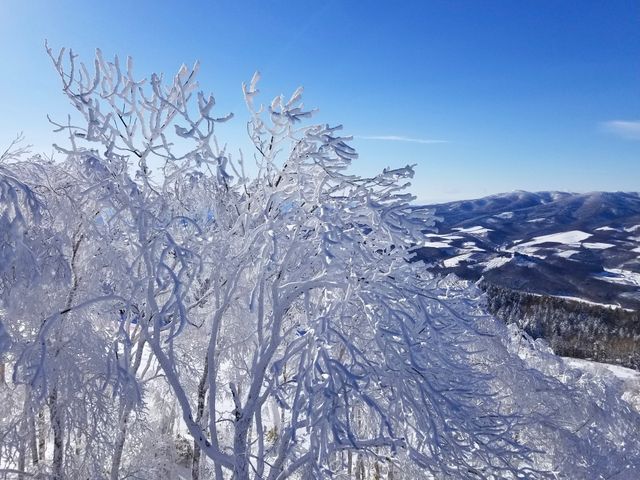 カムイスキーリンクスイメージ