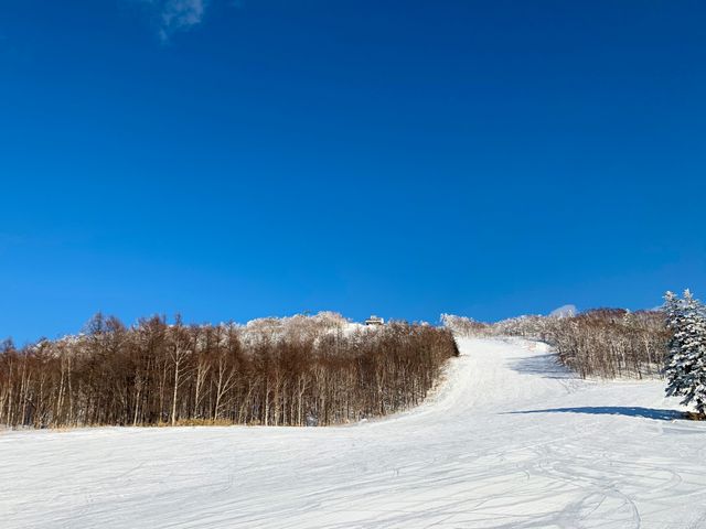旭川市内ステイイメージ