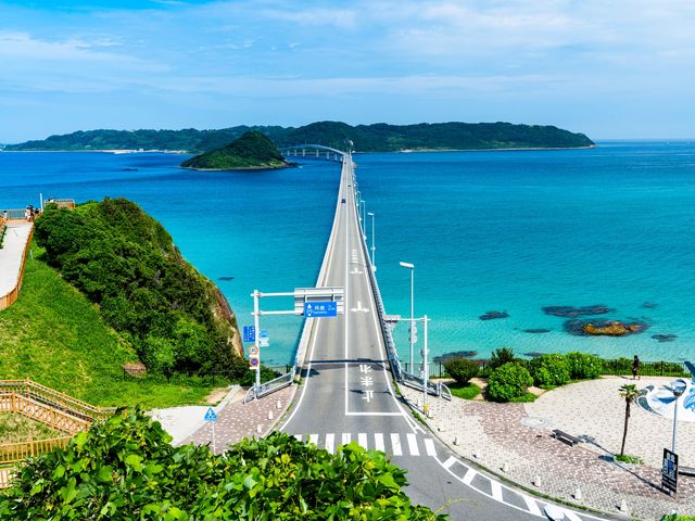 山口フリープランイメージ