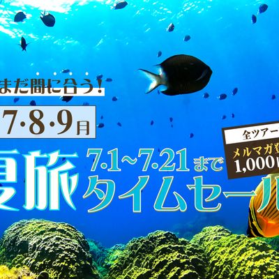 まだまだ間に合う夏旅タイムセール ダイビングツアーイメージ