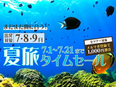 まだまだ間に合う夏旅タイムセール ダイビングツアーイメージ
