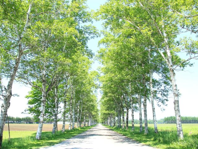 北海道周遊フリープランイメージ