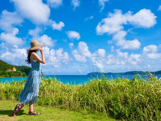 予約すべきはこんなツアーイメージ