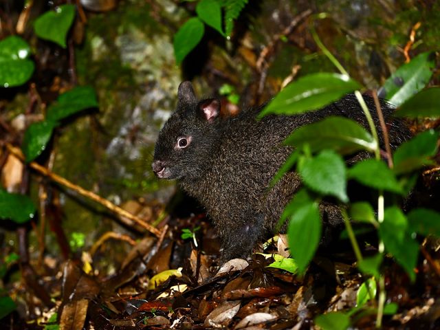 何が登録された？イメージ