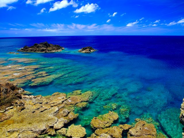 沖永良部島フリープランイメージ