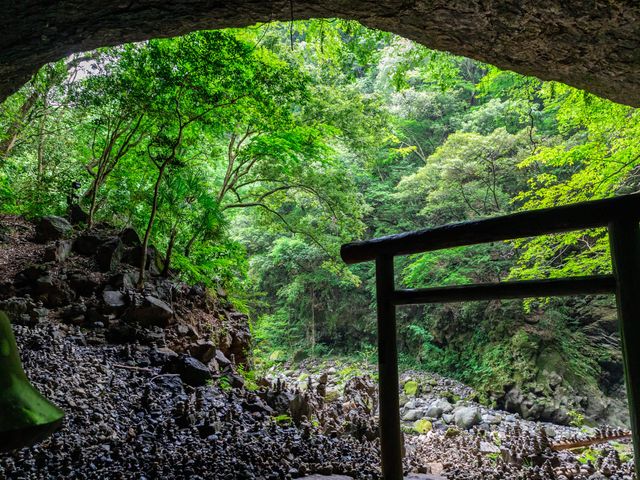料金比較がかんたん！イメージ