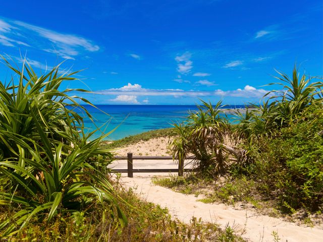 土盛海岸（笠利町）イメージ