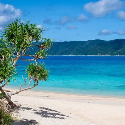 奄美大島フリープランイメージ