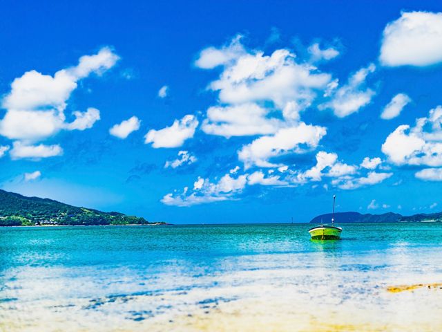 奄美大島フリープランイメージ