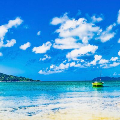 とにかく安くいきたい！8月 屋久島ツアー・奄美大島ツアーイメージ