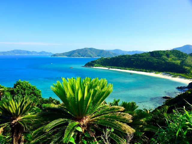 奄美大島フリープランイメージ