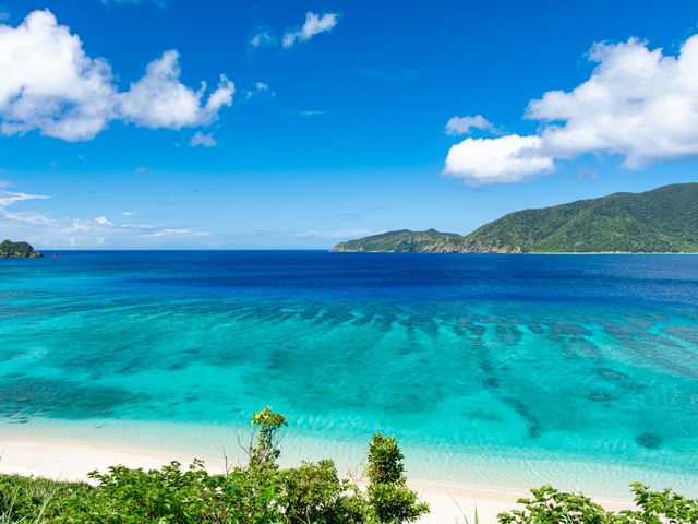 奄美大島フリープランイメージ