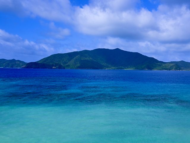 枝手久島（宇検村）イメージ