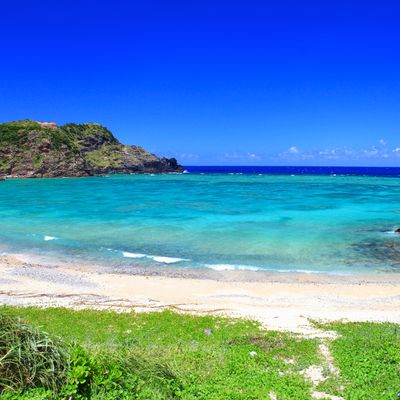 弾丸1泊2日で行く！奄美大島ツアー モデルコースイメージ