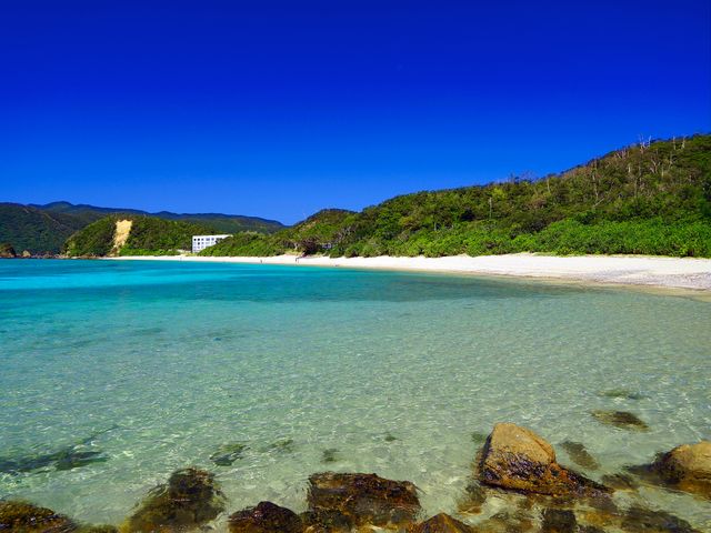 ヤドリ浜海水浴場（瀬戸内町）イメージ