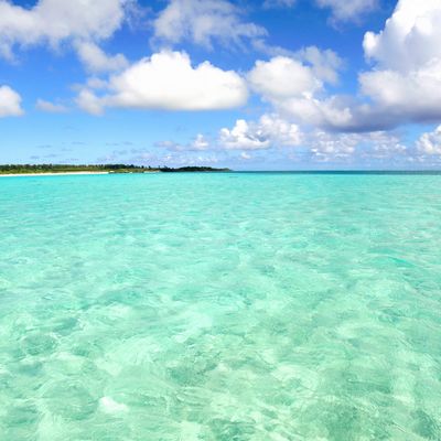 弾丸1泊2日で行く！与論島ツアー モデルコースイメージ