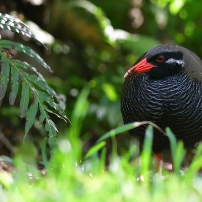 沖縄県の世界遺産イメージ