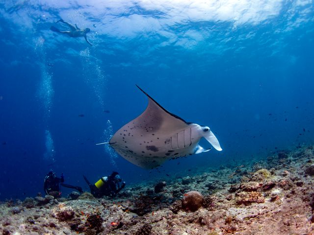 遭遇率90%のヒミツ♡イメージ