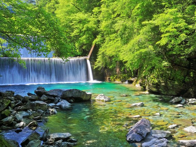 高知県のホテルから選べるイメージ