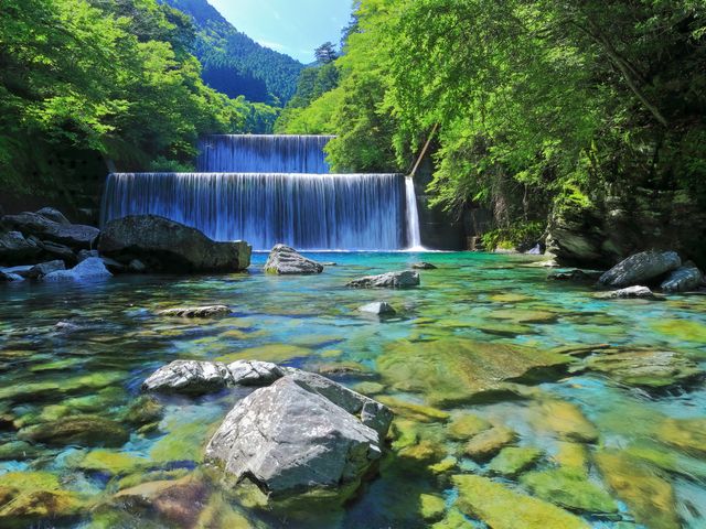 仁淀川イメージ