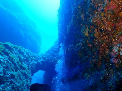 ポイント指定ダイブ！沖縄ダイビングツアーイメージ