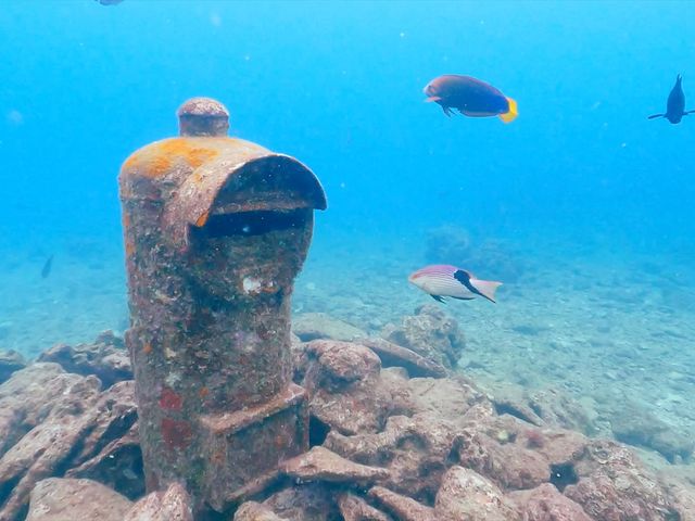 砂辺NO.1ポイント指定ダイビングイメージ