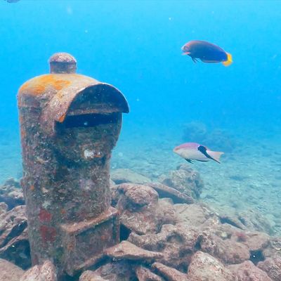 砂辺NO.1ポイント指定ダイビングイメージ