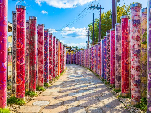 京都フリープランイメージ