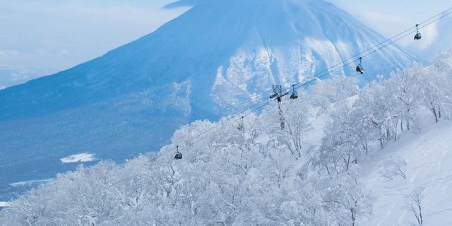 おすすめツアー