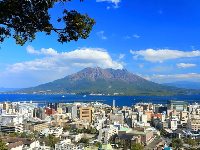 鹿児島フリープランイメージ