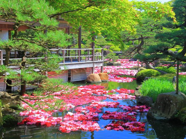 由志園イメージ