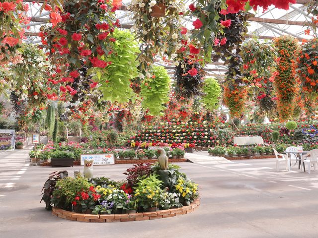 松江フォーゲルパークイメージ