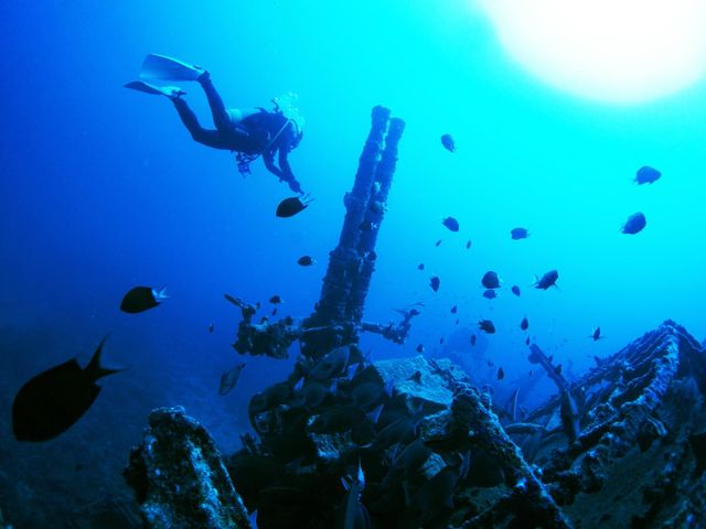 本部・北部エリアイメージ