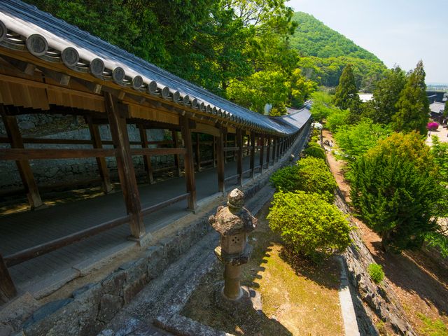 6月の中国エリアは･･･イメージ