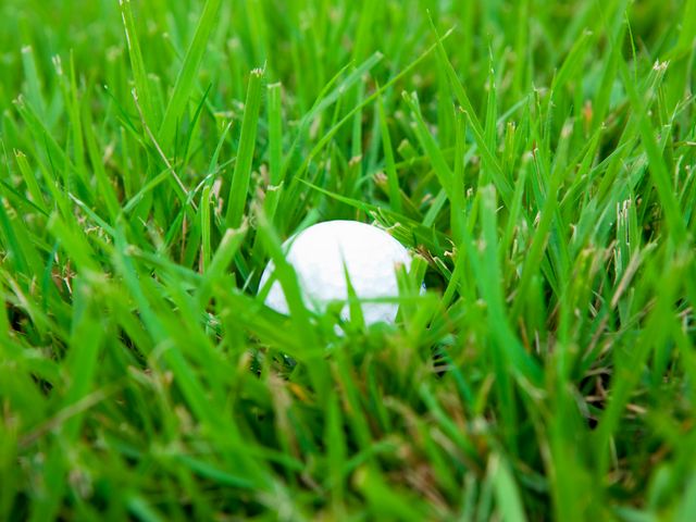 自然豊かなラフで腕を上げる！イメージ