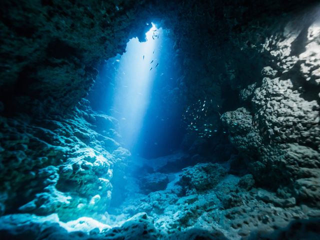 どんなポイント?イメージ