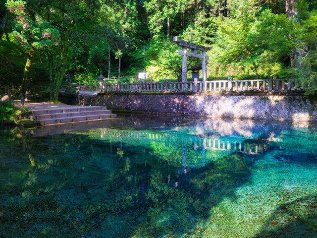 別府弁天池イメージ